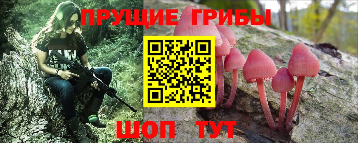 Галлюциногенные грибы MAGIC MUSHROOMS Рузаевка